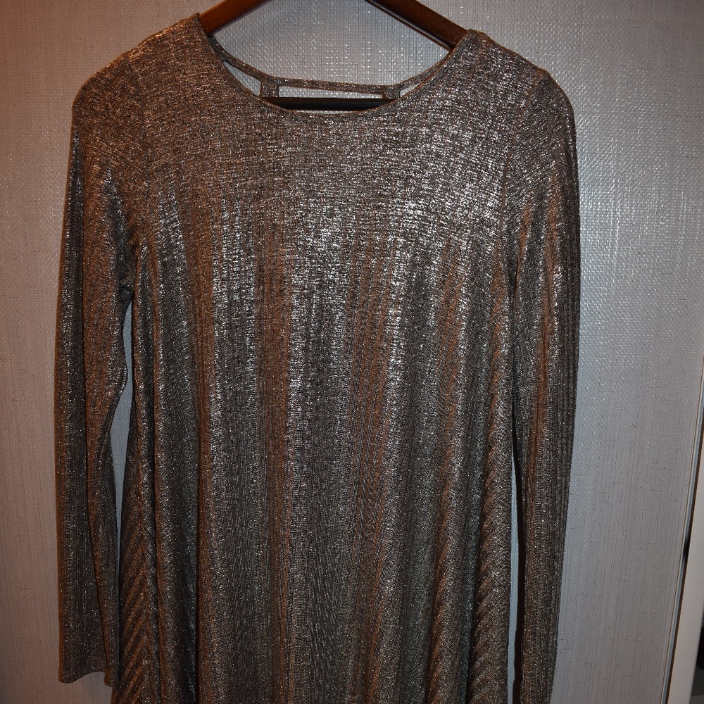 Dee Elle Silver Long Sleeve Dress